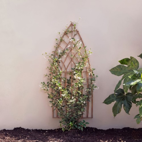 Primrose arched natural - natural, willow