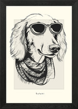 Saluki illustration framed - illustration,