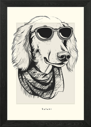 Saluki illustration framed - saluki,