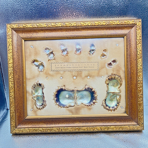 Vintage mikimoto pearl island - mikimoto,