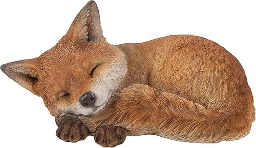 Real life sleeping fox cub - life,