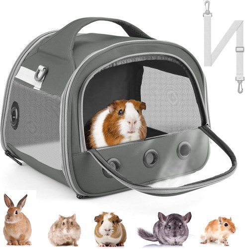 Guinea pig carrier - guinea,