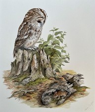 Brian Bedford (20th Century)