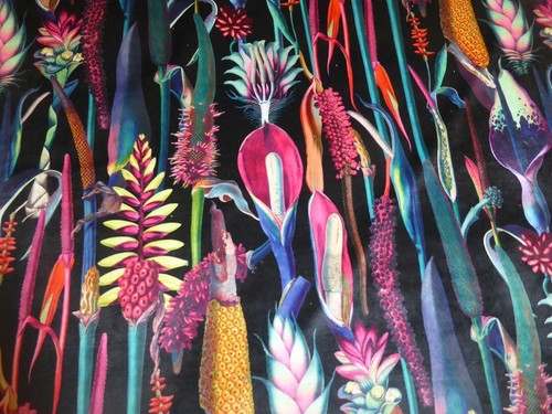 Botanical tropical printed - botanical,