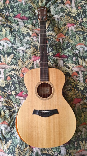 Taylor academy 12e - taylor,