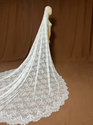 Chantilly lace mantilla - lace,