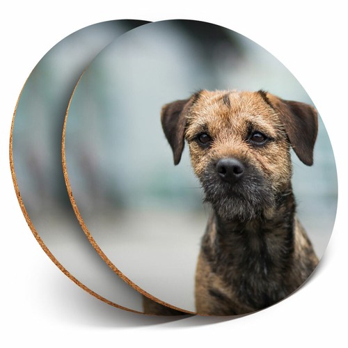 Coasters border terrier - coasters,