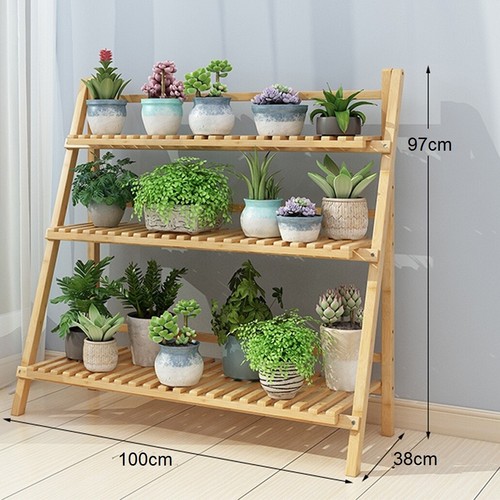 Tier flower plant - tier,