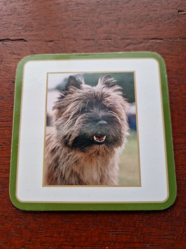 Cairn terrier coaster - coaster,