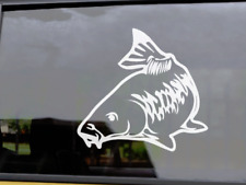 MIRROR CARP  Vinyl Fishing Car Decal / Sticker -108