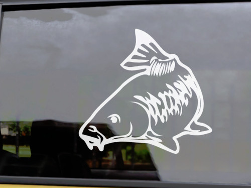 Mirror carp vinyl fishing car - ,