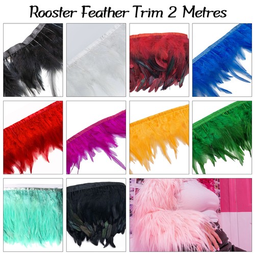 Coque rooster tail feather - coque,