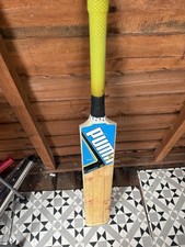 Puma English Willow Cricket