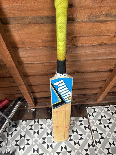 Puma english willow cricket - english,