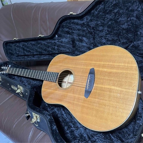 Electric acoustic guitar - acoustic,