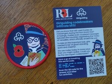 Girlguiding Badges - Cloth