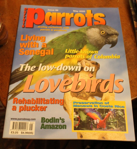 Parrots may 2005 - 2005, ~