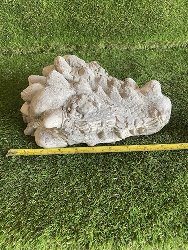 Concrete dragon head fantasy - concrete,