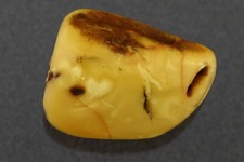 Large Genuine BALTIC AMBER Egg