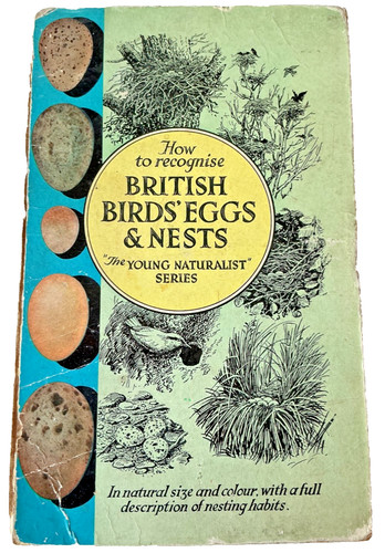 British birds eggs and - birds,