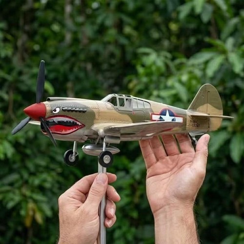 Shark mouth warplane garden - shark,
