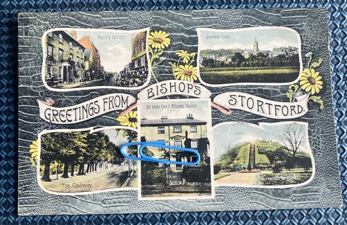 Greetings from bishops - greetings,