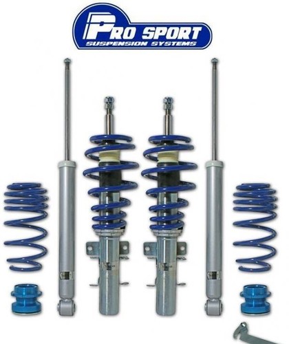 Prosport coilover suspension - prosport,