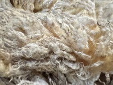 12.9 lbs White Romney Raw Wool