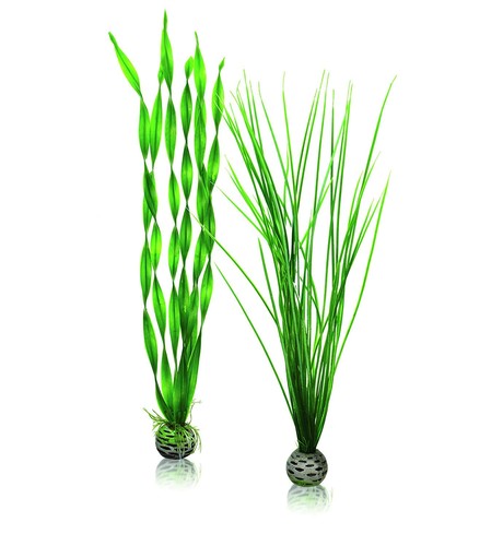 Biorb large green plant set - large,