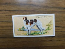  Hignett  1936 Dogs  #4 Borzoi /Russian Wolfhound 