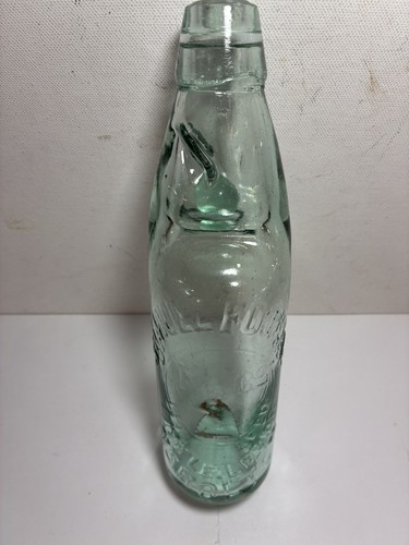 Nice fox head - fox, old