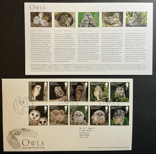 2018 owls with insert - owls,