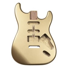 Stratocaster Compatible Guitar