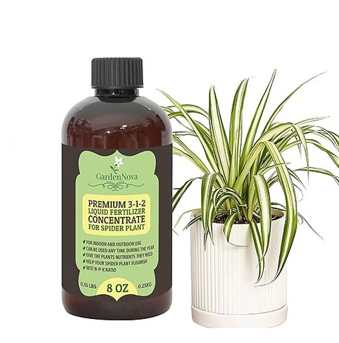 Gardennova spider plant - gardennova, liquid