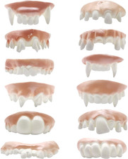 Gnarly Teeth 12 Pieces Ugly