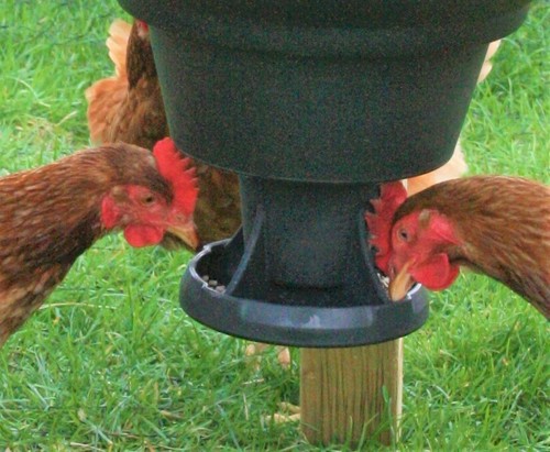 Pan feeder for game - feeder,