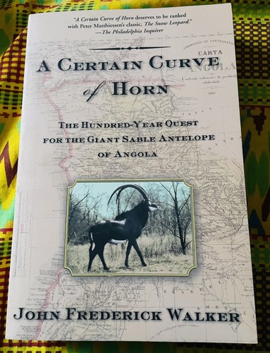 Certain curve horn - curve, horn: