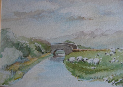 Shropshire sheep grazing a - sheep,
