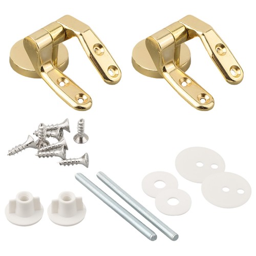Premium gold toilet - gold, seat
