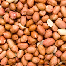 25Kg Jumbo Peanuts Pale Skin