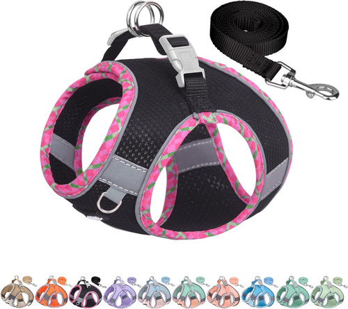 Teacup puppy harness with - puppy,
