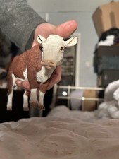 Unmarked Hereford Calf