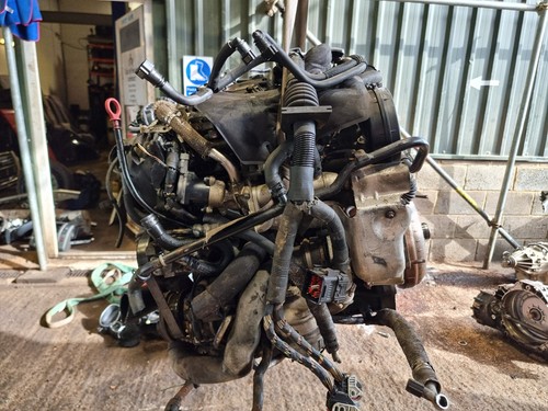 Jaguar type engine - jaguar,