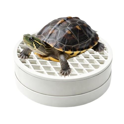 Turtle tank poop collector - turtle,