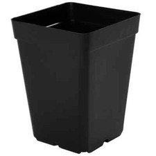 Litre square plant - 3,