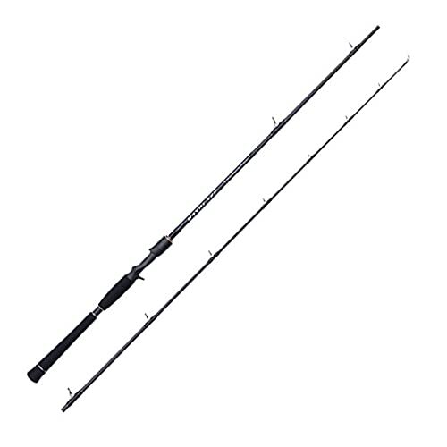 Tenryu spinning rod bayblaze - tenryu,