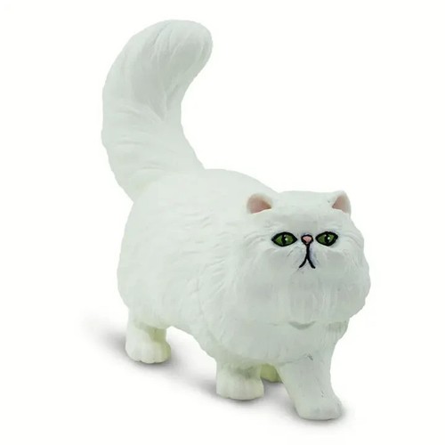 Cute white persian - white, cat
