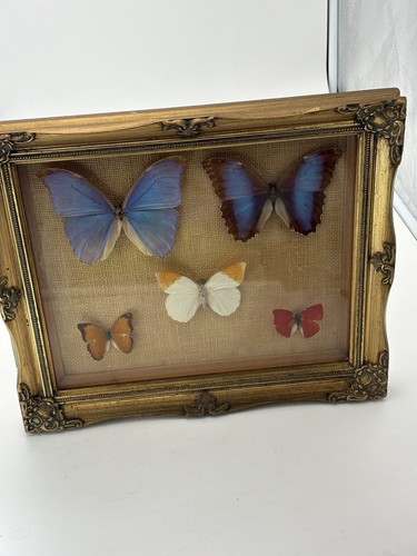 Beautiful vintage gold gilt - beautiful,