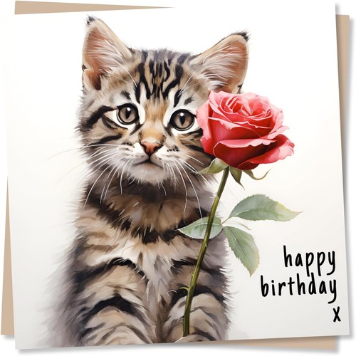 Cat birthday card for - birthday,