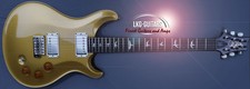Paul Reed Smith - PRS - DGT -